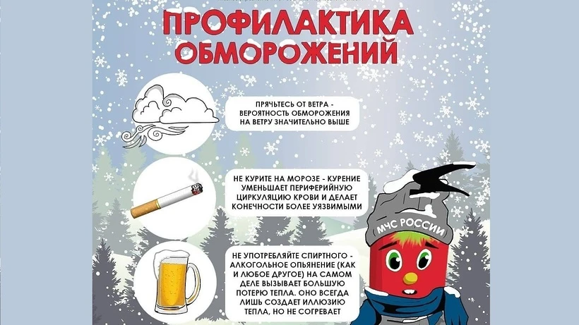 Новогодние праздники — это не только веселье, долгожданные подарки, бесконечное застоль...