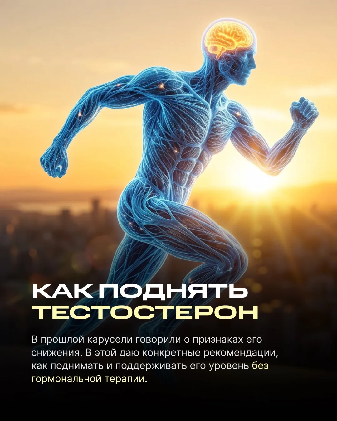 Усталость, вялые тренировки, снижение либидо - в прошлый раз разбирали, как это может быть связано с