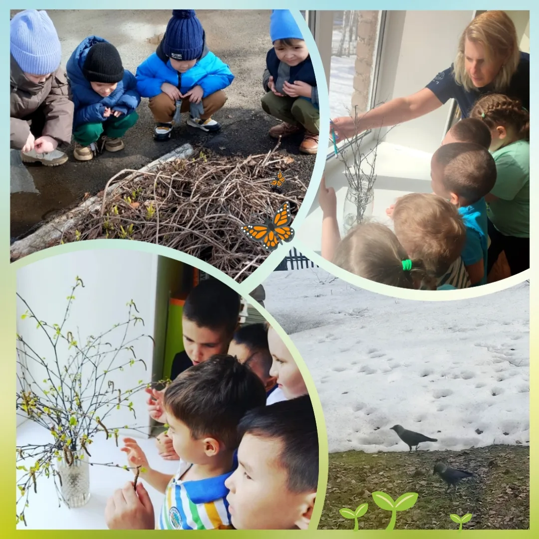 🌱☀Наши воспитанники – настоящие весенние исследователи!🦋🌱 Они замечают первые признаки пробуждени