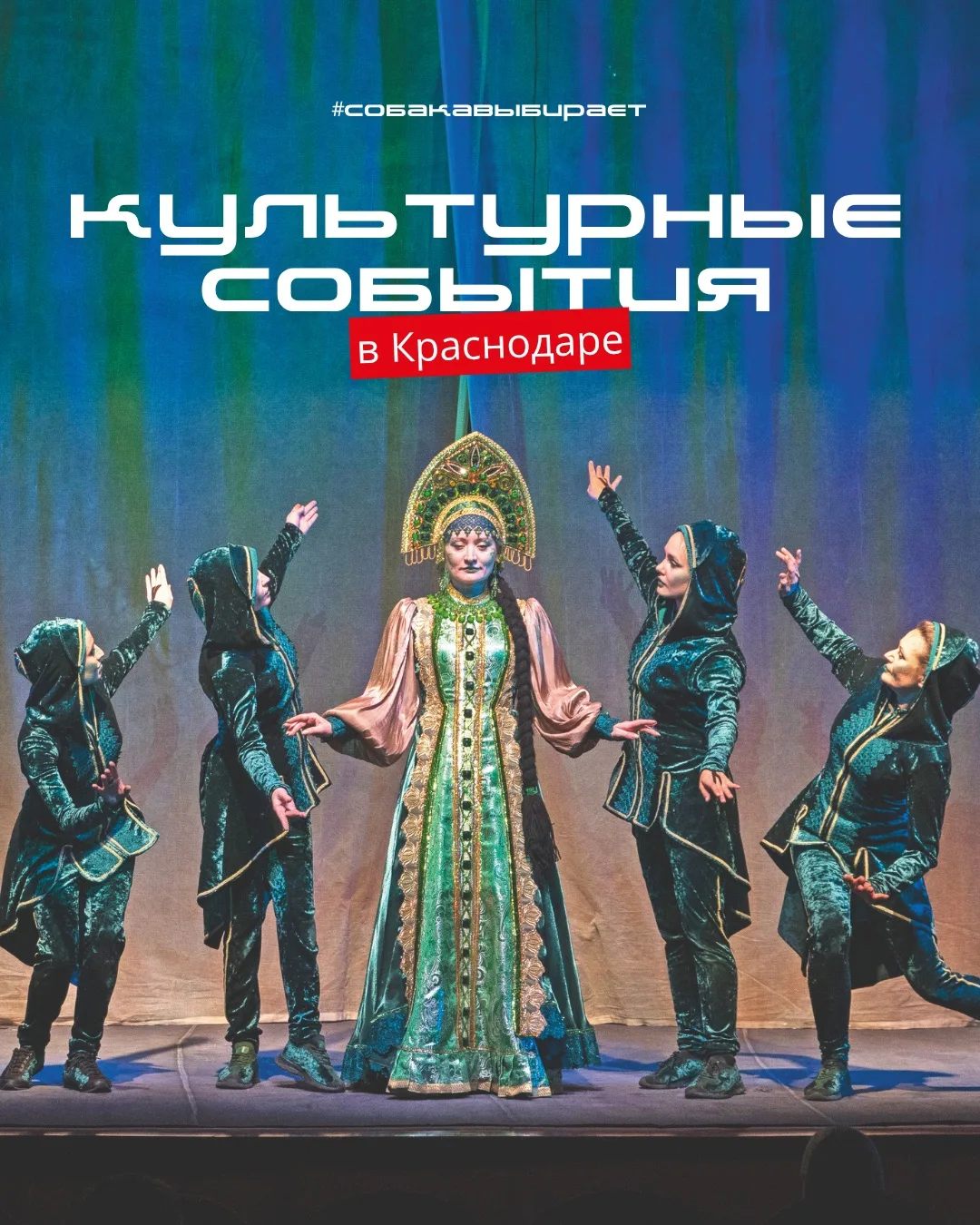#собакавыбирает ⭕️