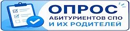 https://anketolog.ru/service/survey/fill/direct/1043248/NbTOmyhX