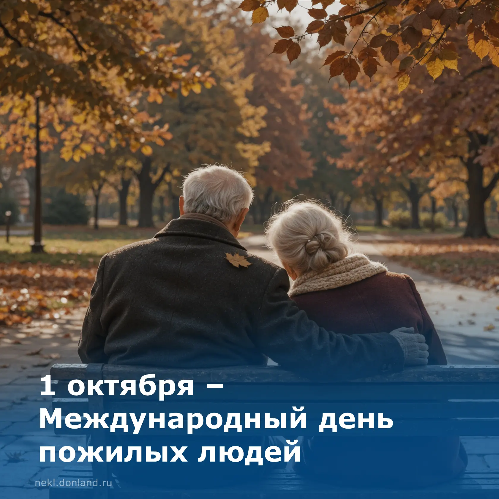 Дорогие земляки! Поздравляем вас с Международным днём пожилых людей!