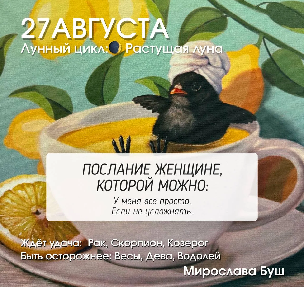 27 августа РЕКОМЕНДАЦИИ 🔥
