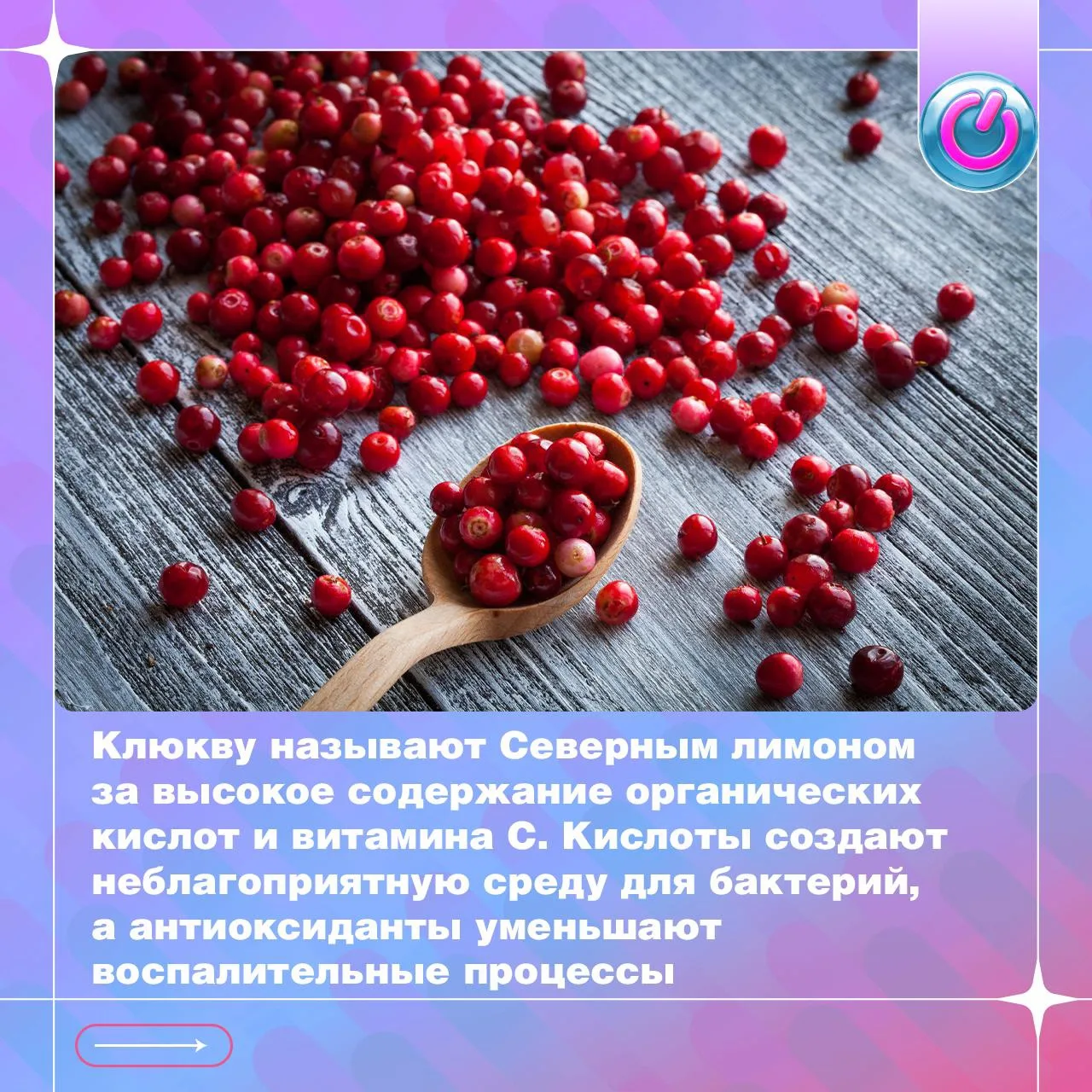 Клюква — одно из самых известных растений в народной официальной медицине для поддержки здоровья моч