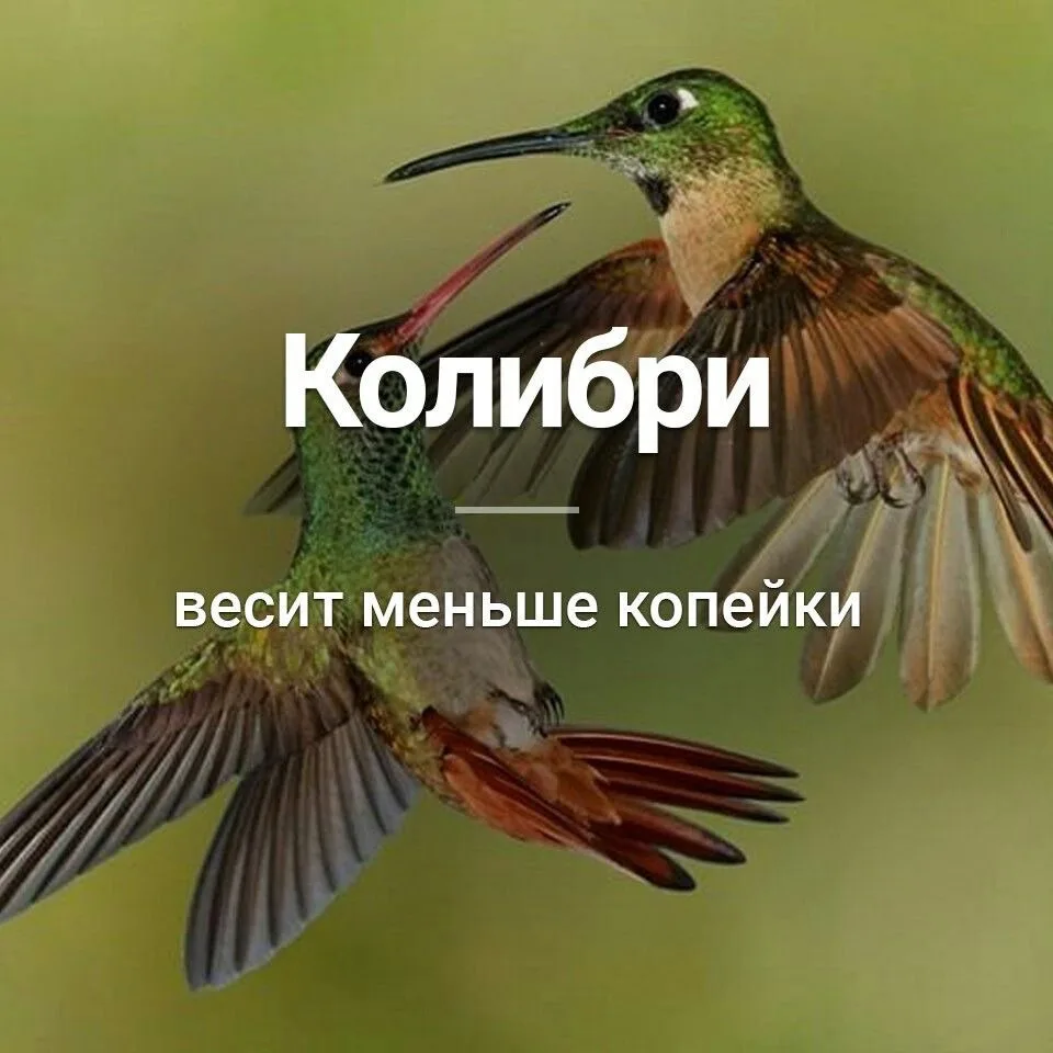 Признавайтесь, знали?