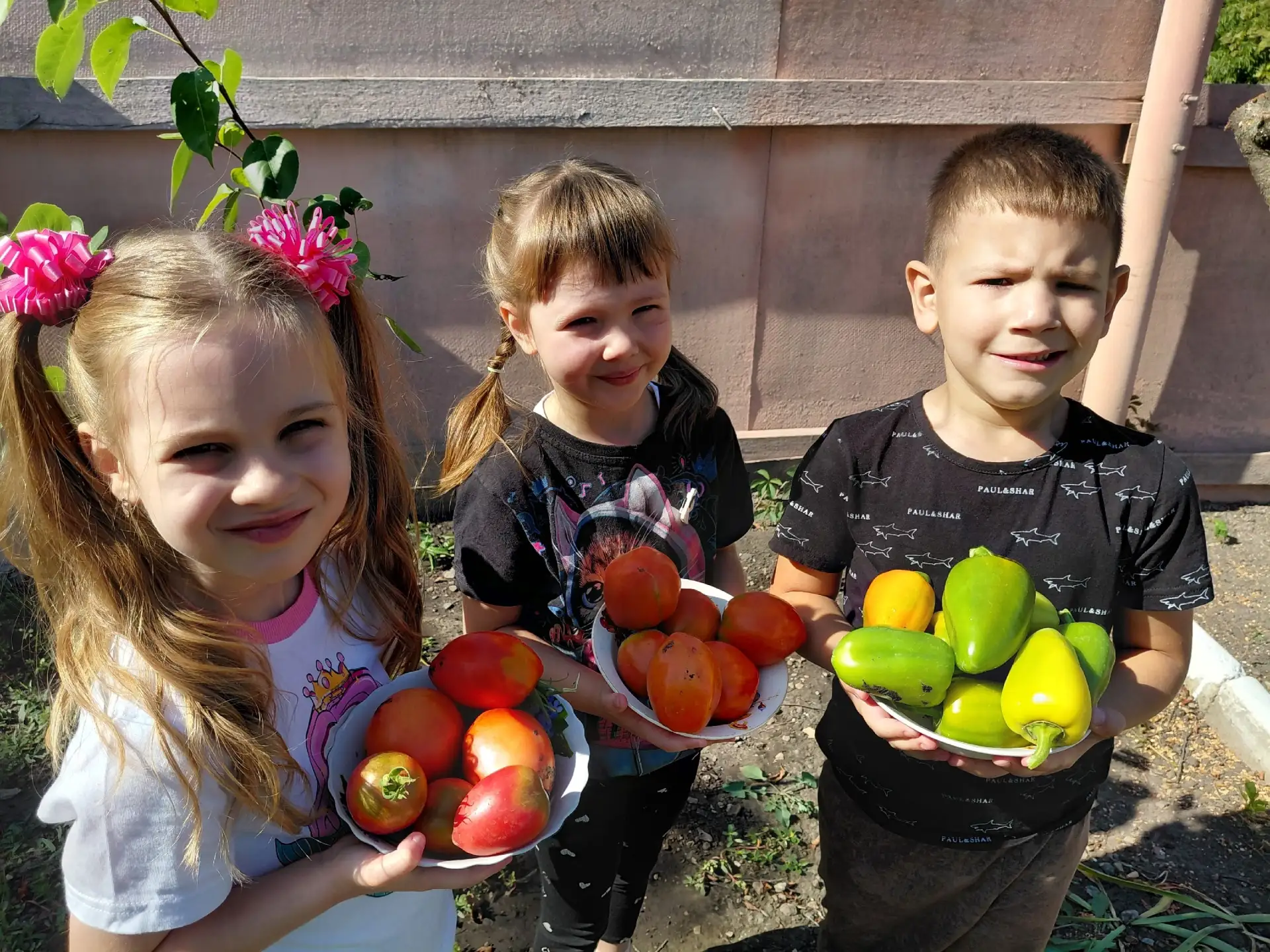 🍎🍉🥕🥔Наш урожай!