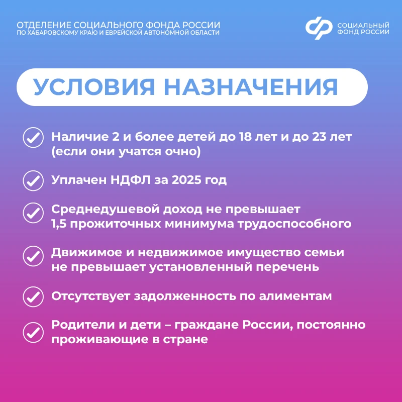 С 1 июня Отделение СФР по Хабаровскому краю и ЕАО начнет приём заявлений на ежегодную семейную выпла