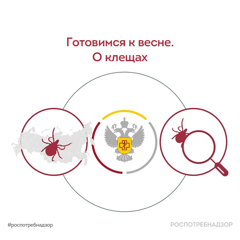 📍Роспотребнадзор о специфической профилактике клещевых инфекций