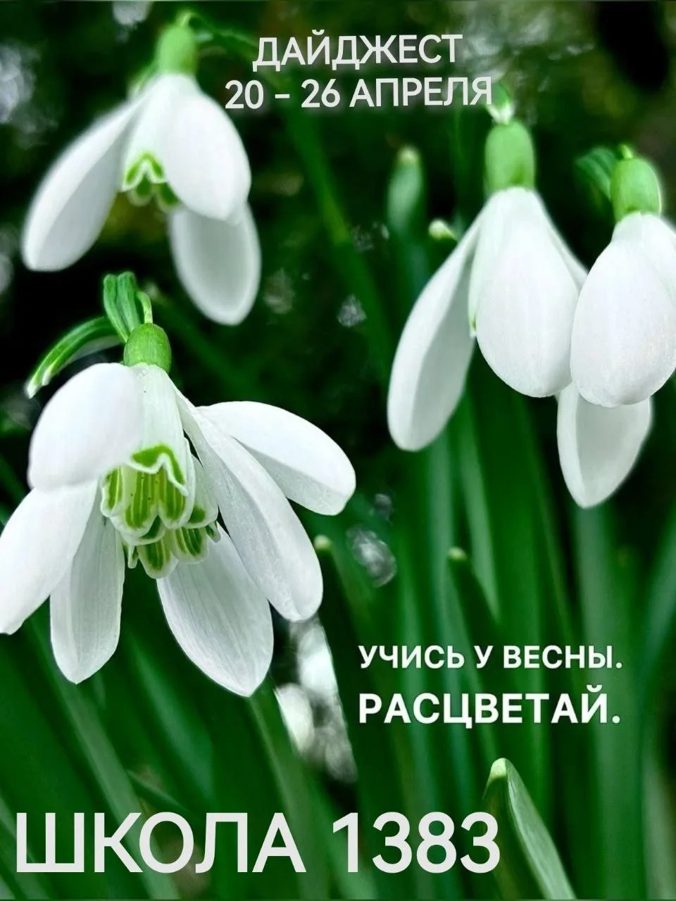 🌸 С началом новой учебной недели!   🌷Весна — время, когда всё вокруг просыпается и расцветает. Пусть
