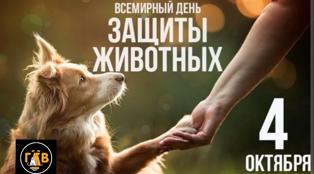 Сегодня Всемирный день защиты животных! 🐶🐱