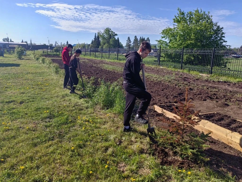 🥔🍅Школьный огород: летняя работа🥒🧅