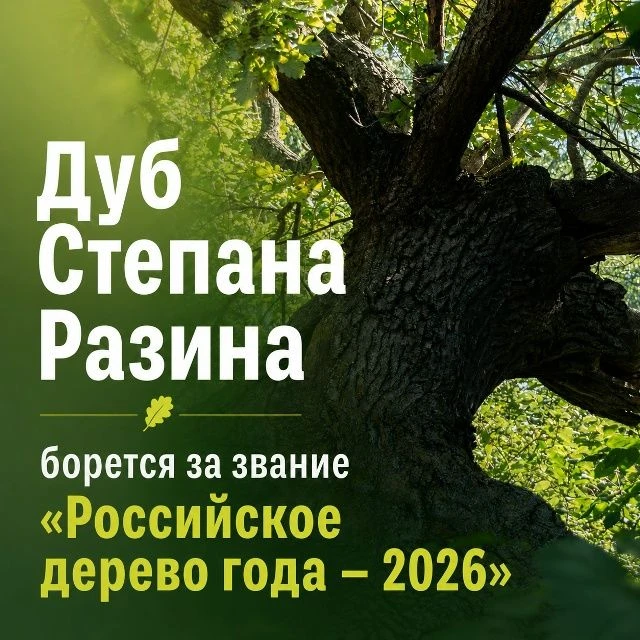 До завершения голосования осталось всего 2 дня!
У жителей Марий Эл еще есть возможность поддержать н