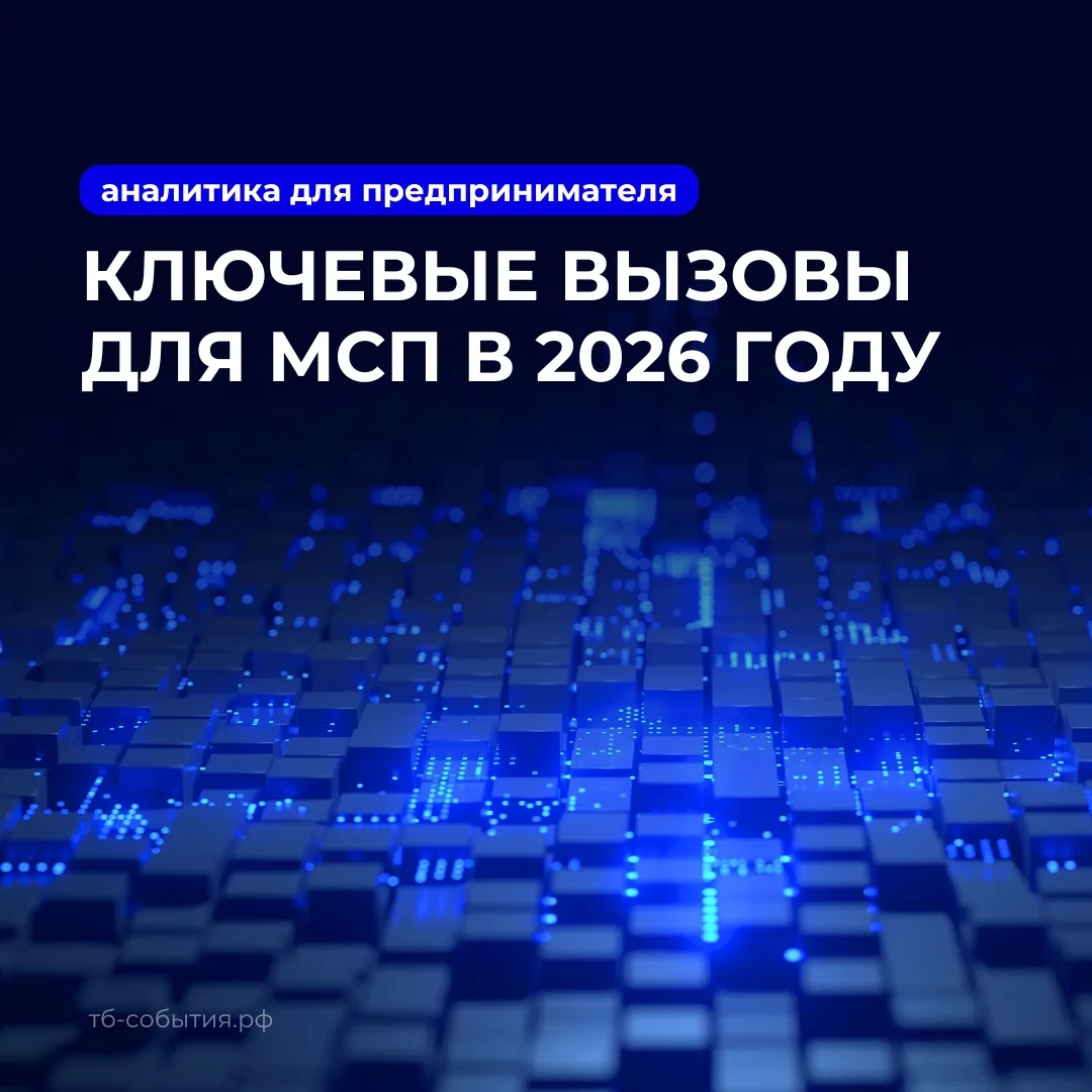 Предстоящий 2026 год станет для российского малого и среднего бизнеса периодом проверки...