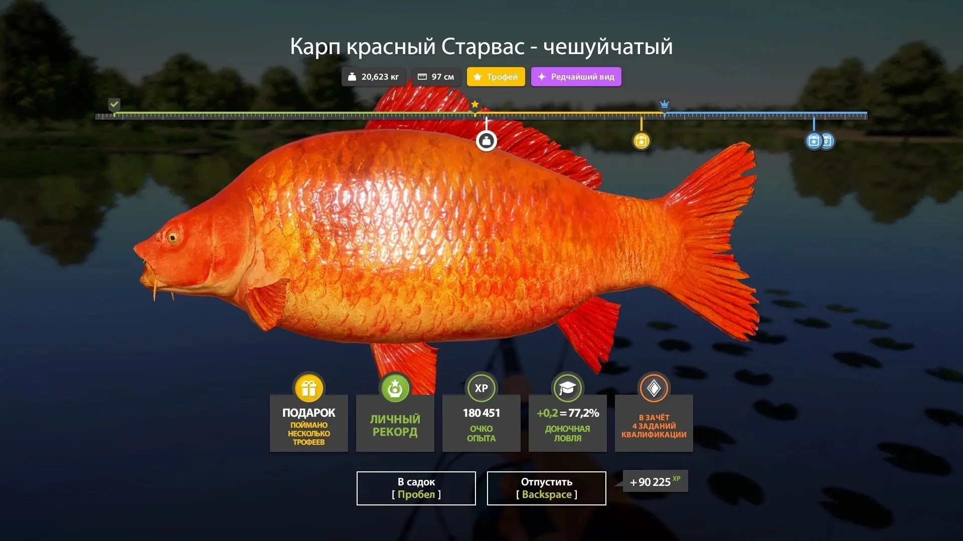 #янтарное@рр4wikipedia
🐟 Карп красный Старвас - чешуйчатый (трофей).
📌 Координаты: 169:83.
🎣 Клип