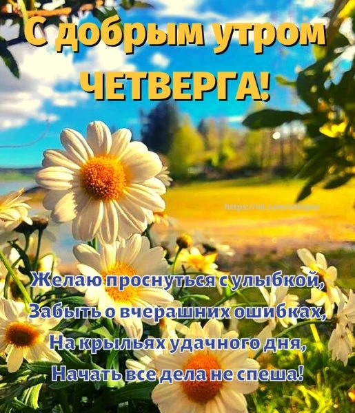 💰 Текущий баланс на карте 7824,60₽

✅ 1007,55 бонусов 
" СберСпасибо "🌸

Все средства пойдут на по