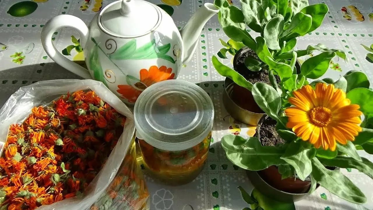 Травяной чай для восстановления печени 🌿✨  Этот натуральный напиток эффективно поддерживает здоровье