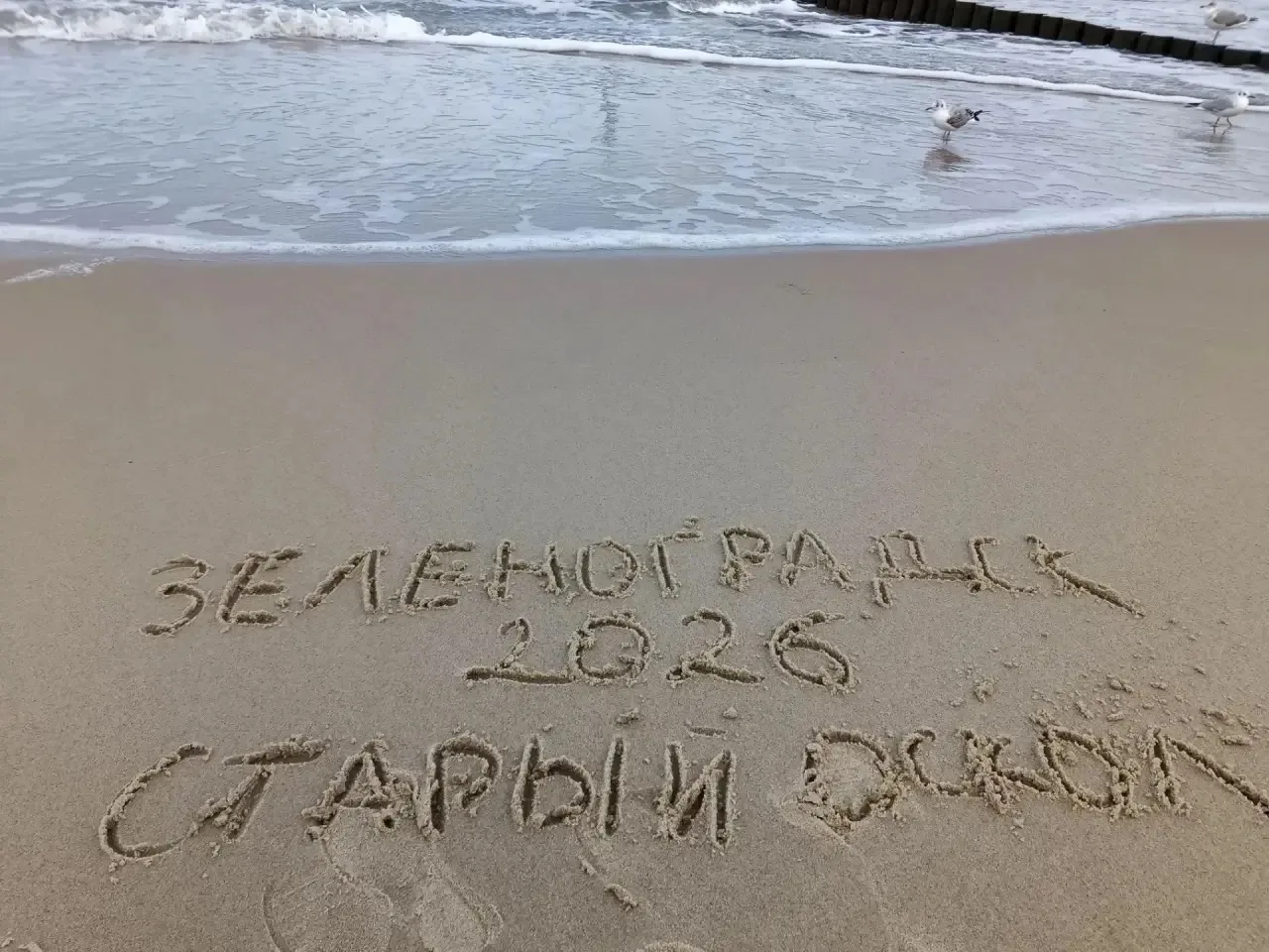 🌊Читатели передают привет Старому Осколу с Балтийского моря