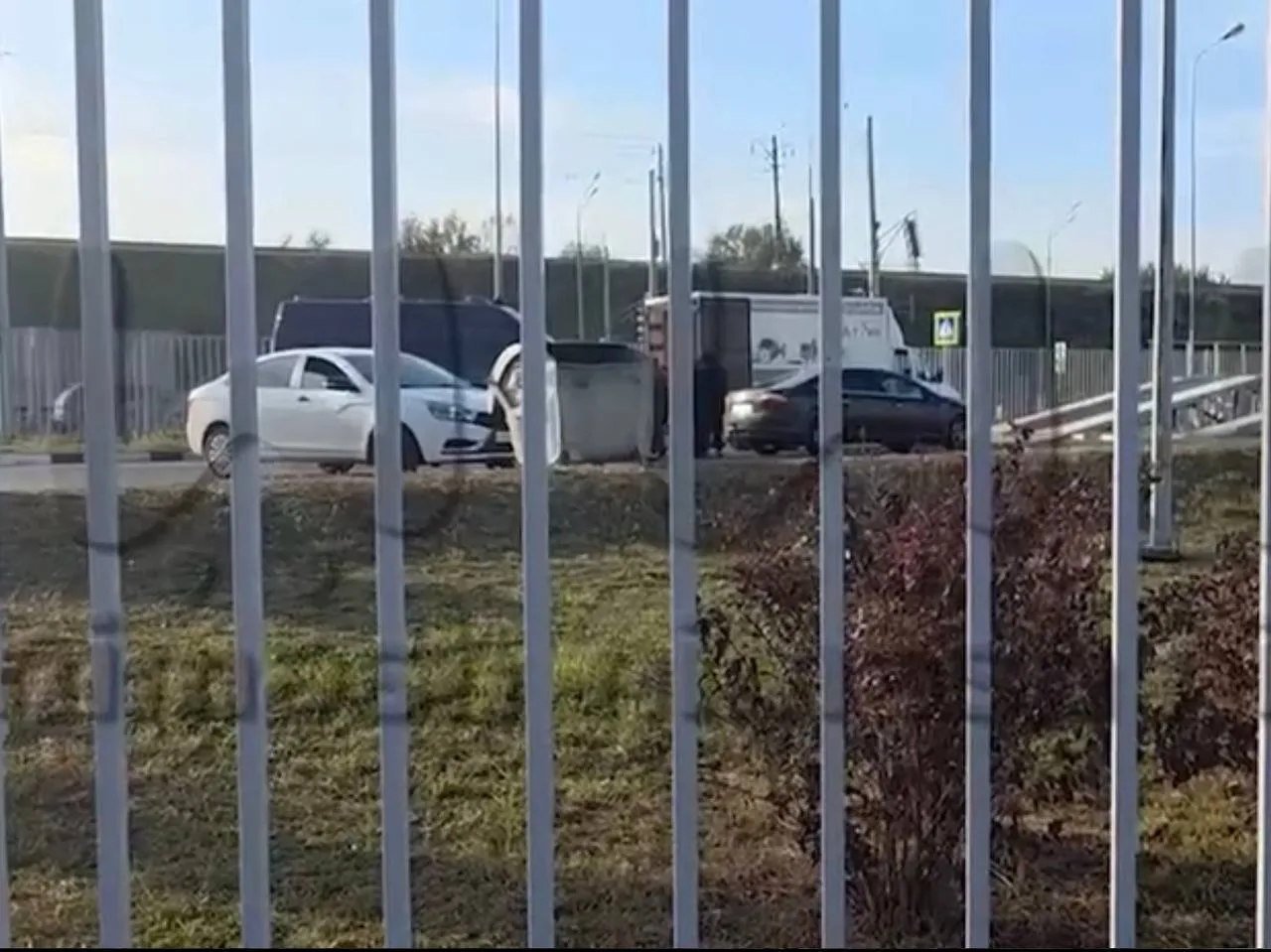Появилось видео от СК с места обнаружения расчлененных тел под Бором.