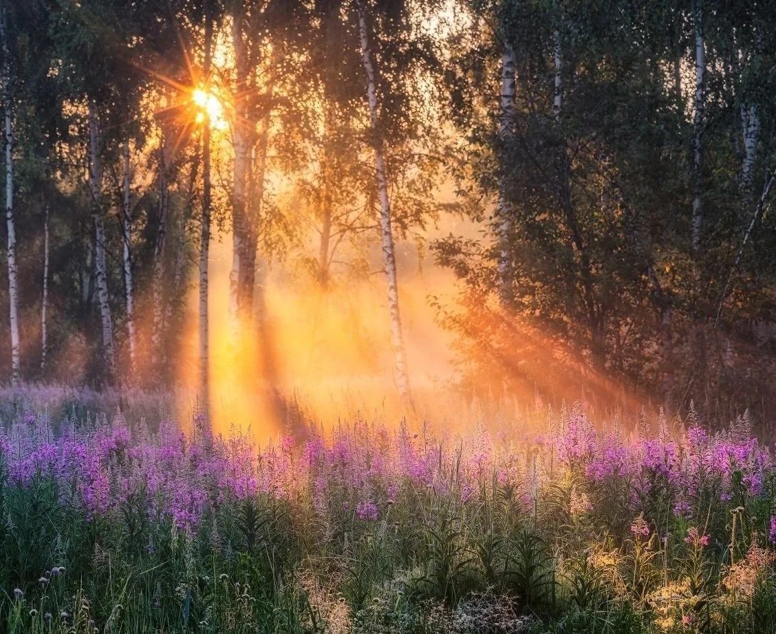 Фотограф Ерохин Евгений.

Уголок Душевного Тепла ❤️