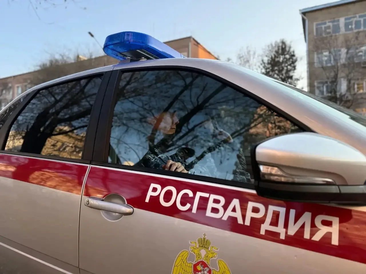 В Амурской области сотрудники Росгвардии пресекли вывоз незаконно заготовленной древесины   🛡 В ночн
