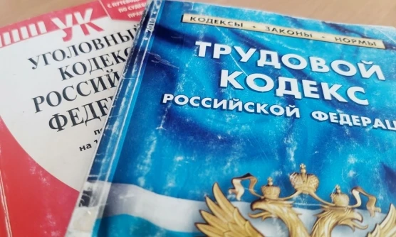 Какие есть способы защиты прав работников при невыплате работодателем заработной платы?

Право на св