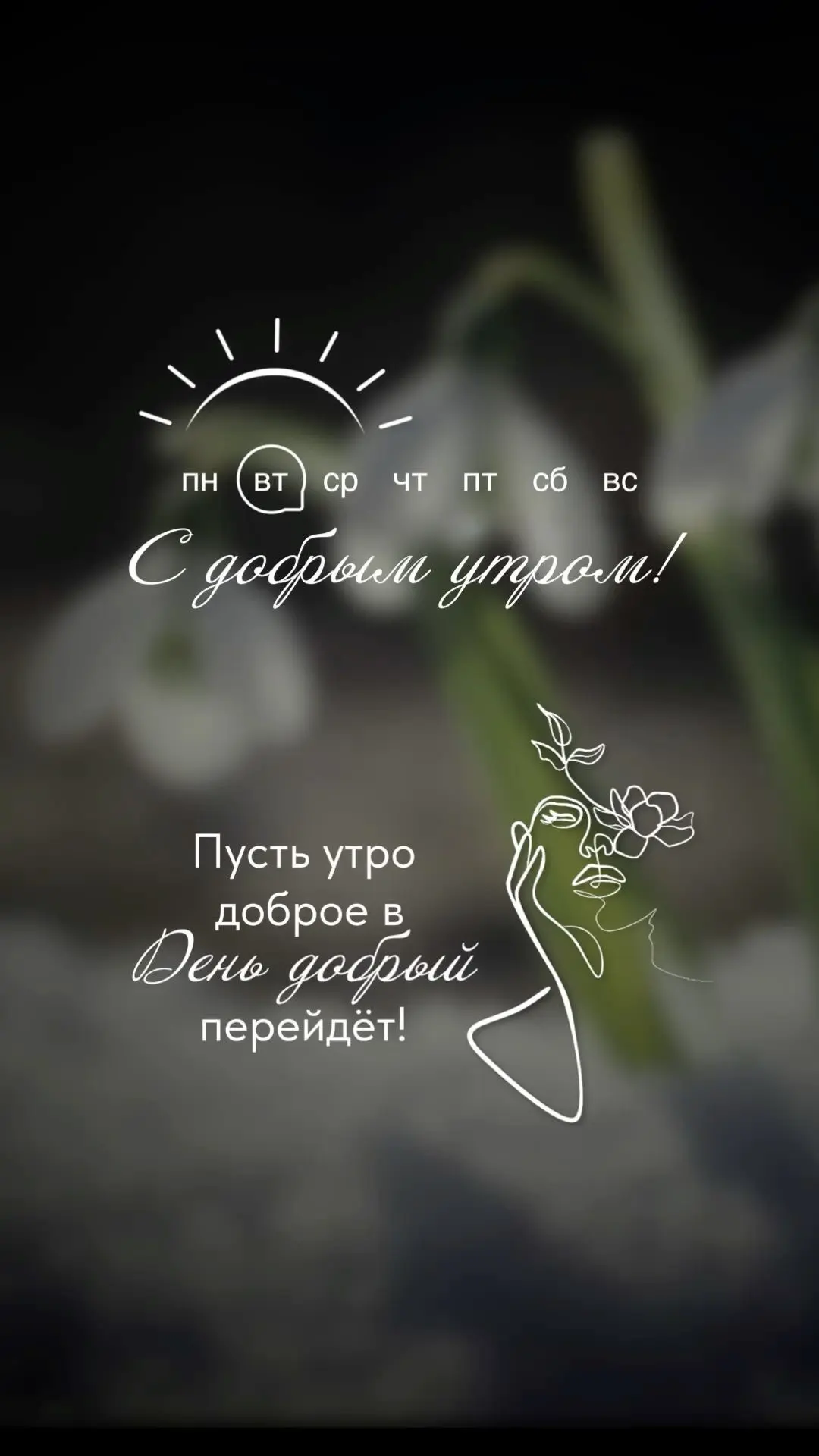 Доброе утро, друзья!🌞