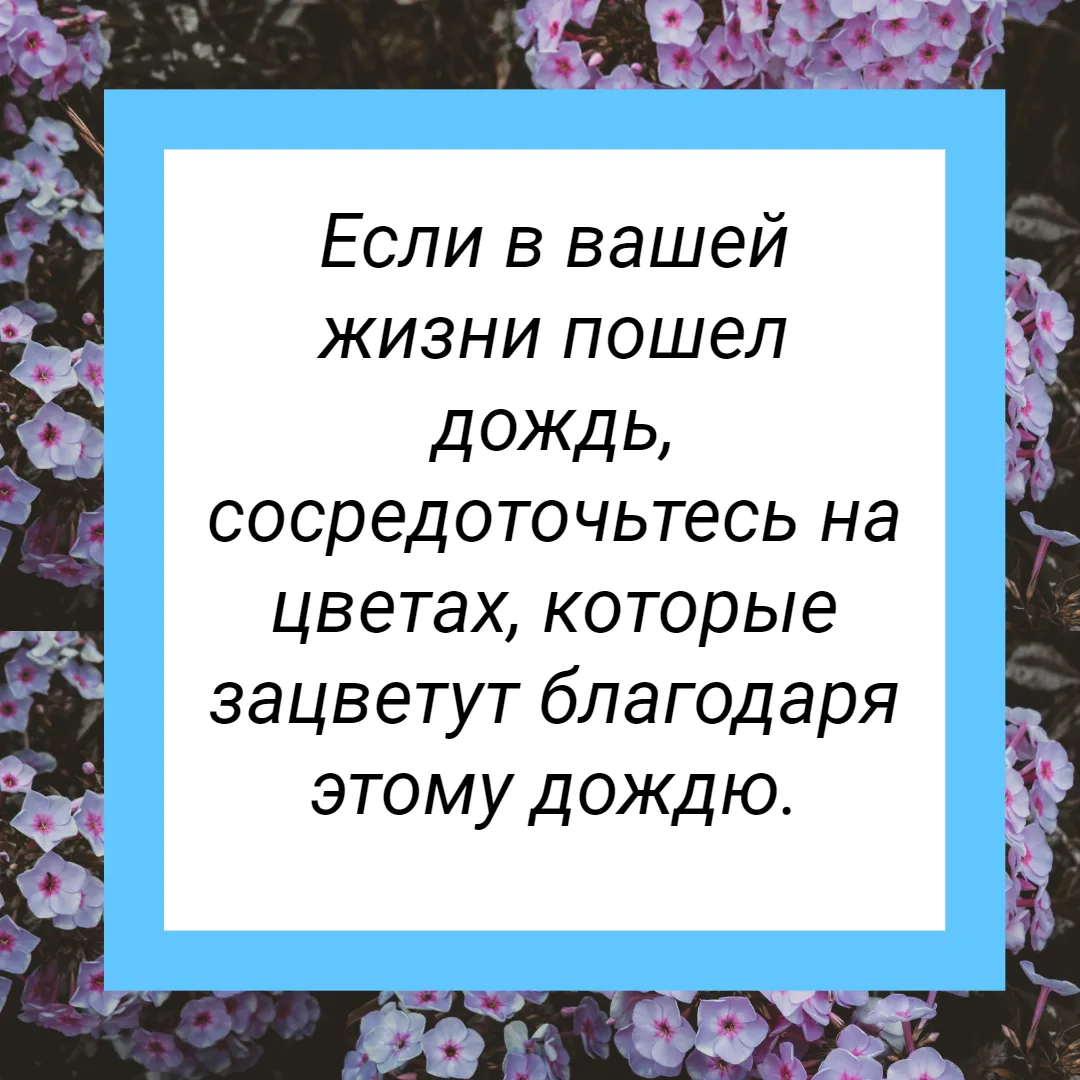 Если в вашей жизни пошел дождь, сосредоточьтесь на цветах, которые зацветут благодаря э...