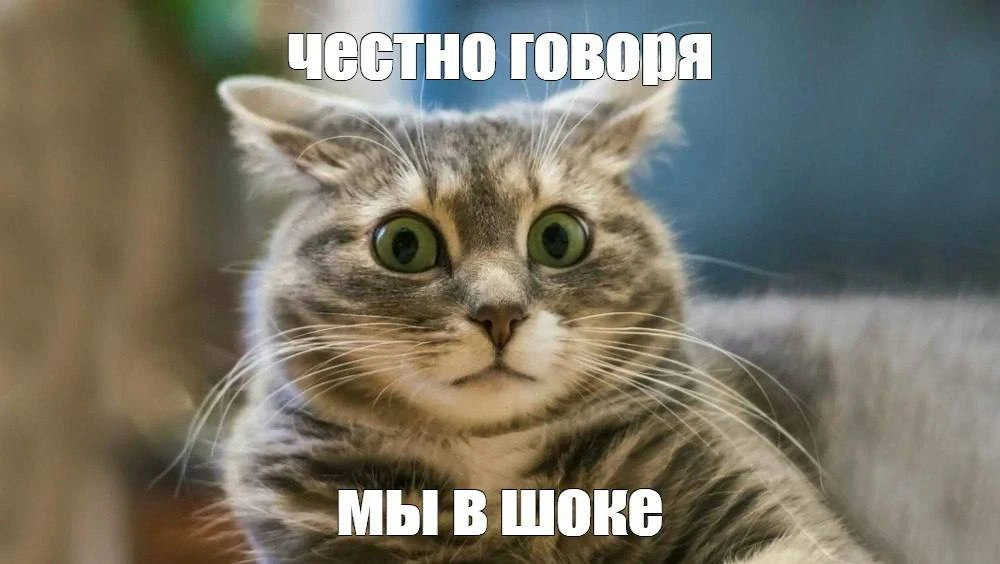 😨 Перенесли рейс на 2 дня... раньше: семья не может вернуться в Самару и застряла на М...