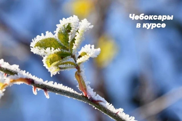 МЧС предупреждает чебоксарцев:
