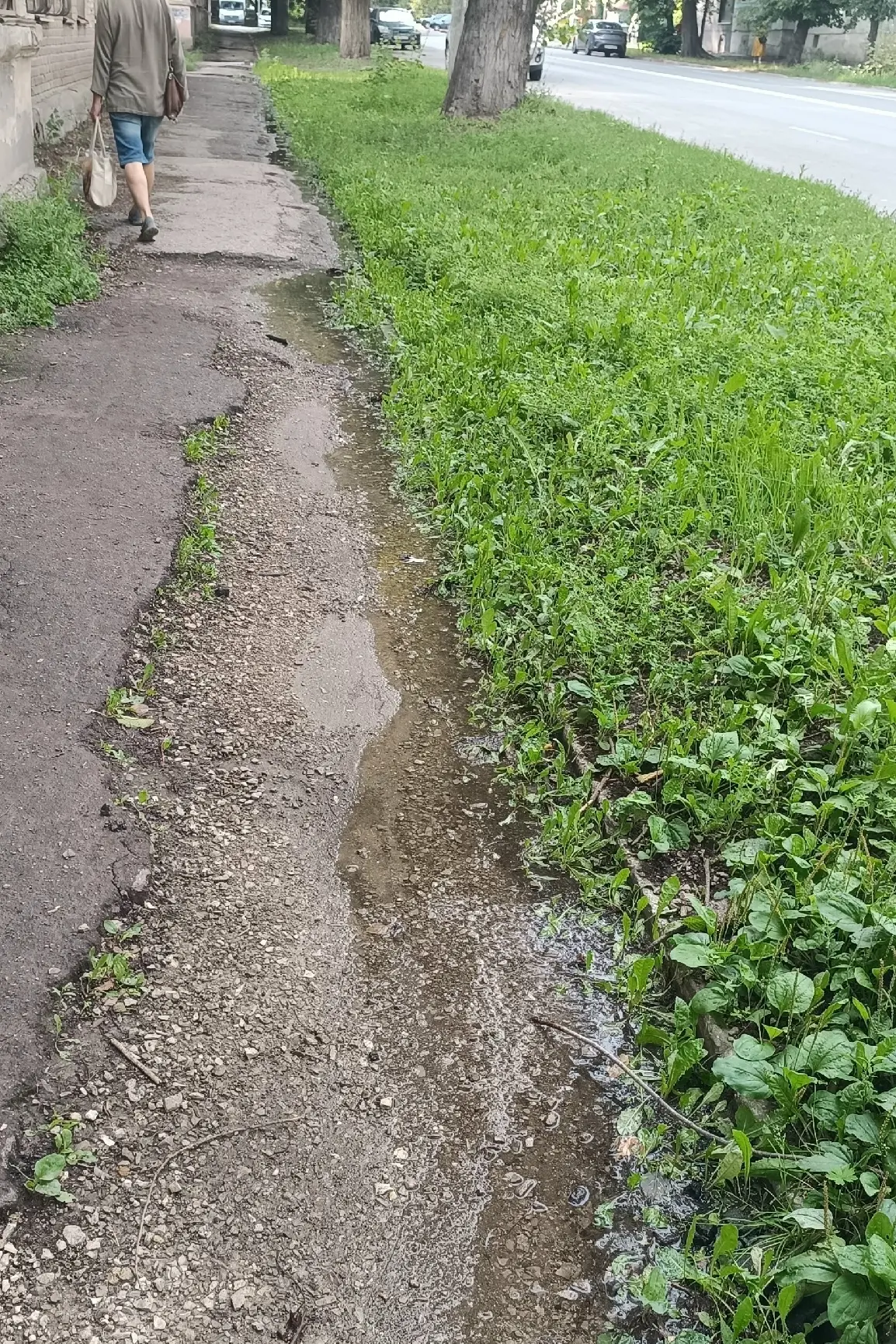 Уже второй месяц из под дома по адресу Ставропольская 143 течёт вода. Дом на пересечени...