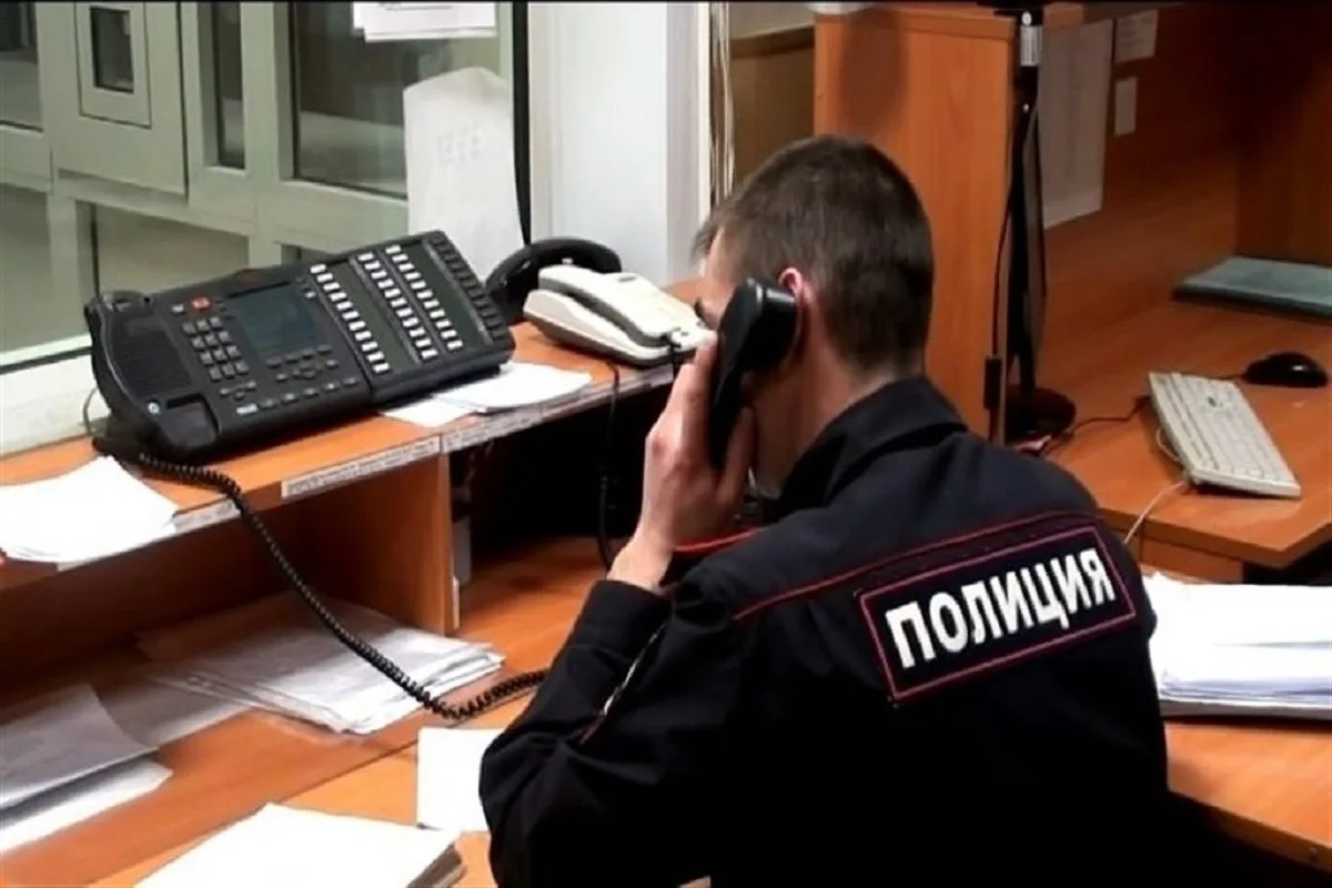 Полицейские разбираются в обстоятельствах инцидента, произошедшего в Ленинском городском округе 
 
В