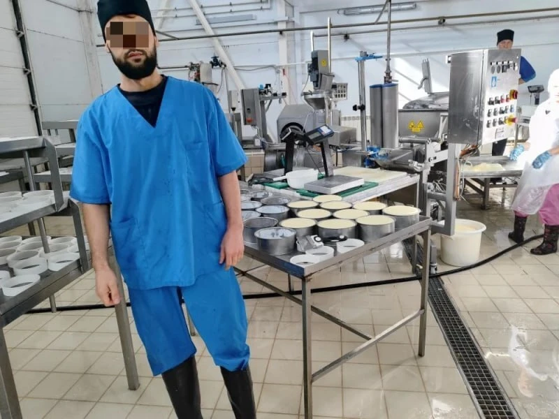 В Чувашии на тепличной ферме и молочном заводе обнаружили иностранных граждан, работающих без легаль