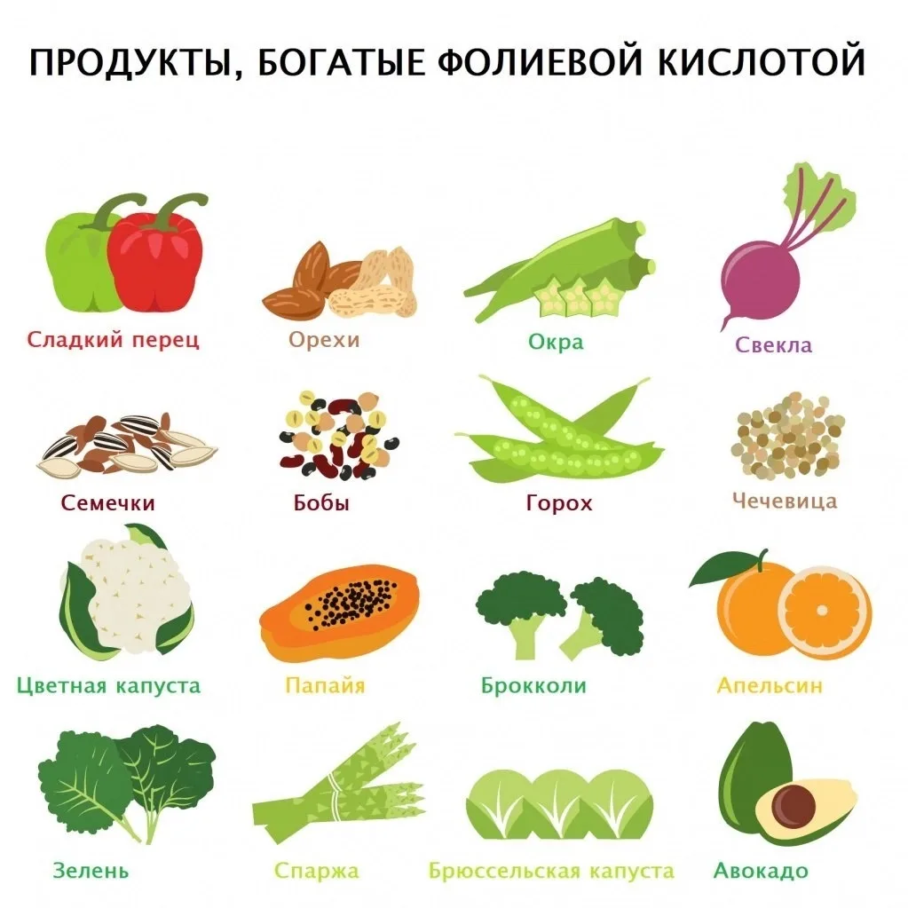 🧠 Фолиевая кислота — маленький витамин с большой миссией