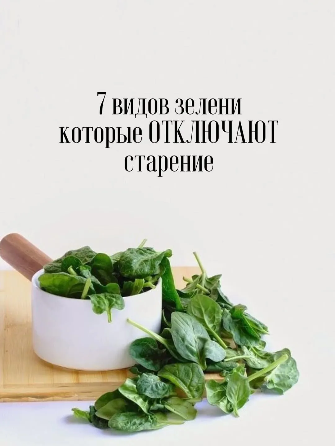 Зелень — натуральный эликсир молодости 🥬

Свежая зелень — это не просто вкусное дополнение к блюдам