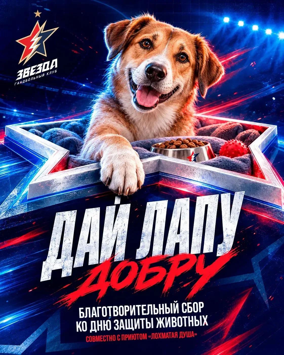 🐾 День матча — день добрых дел
