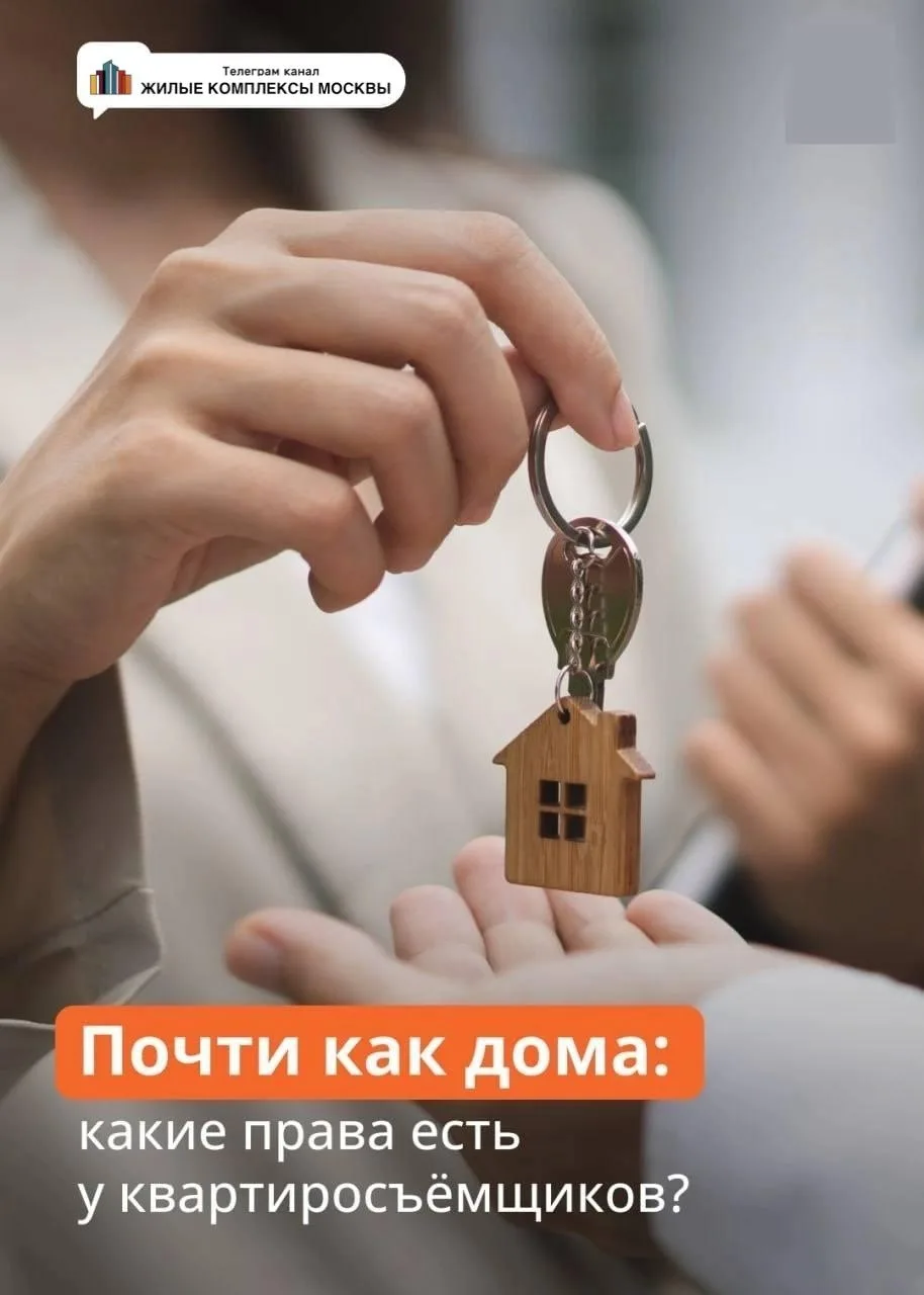 🟠Про права квартиросъёмщиков  ✅«Строго без детей и домашних животных» — частое условие в объявлени