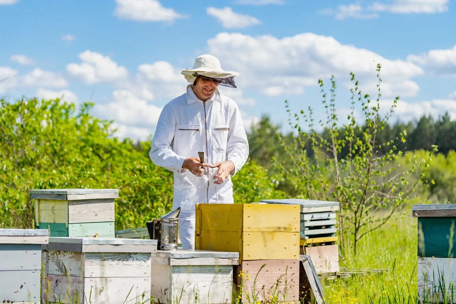 🐝 20 мая отмечается Всемирный день пчеловода.