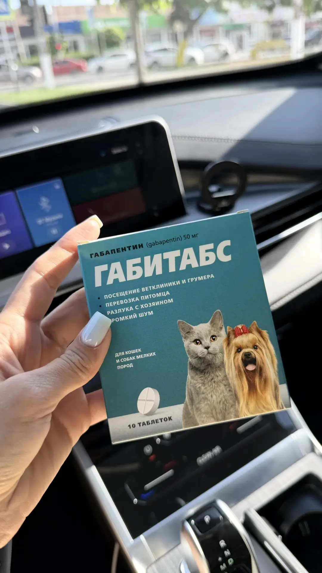 Купила коту успокоительное. Девочки, он орет и днём и ночью. Это ужас, которую ночь мы без нормально