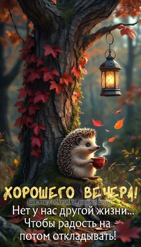 Открытки: подписаться ❤️