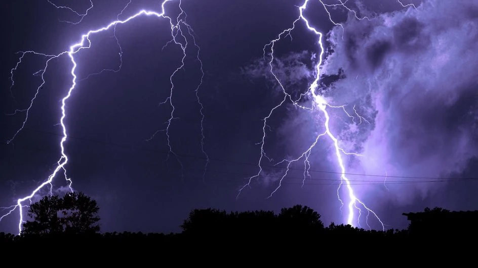 Вы знали, что молнии удобряют почву? ⚡️