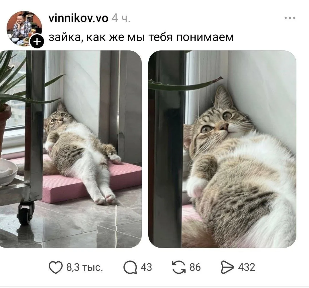 Пятничный #бесоёбныймемасик в эфире!