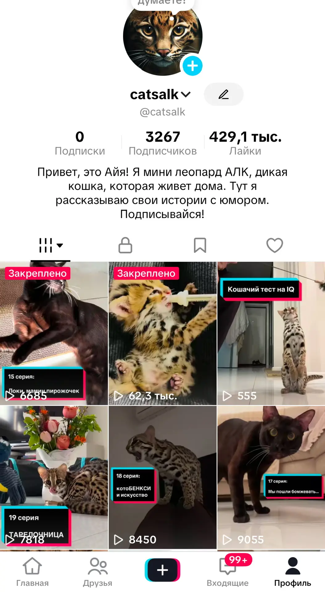Тем временем Айя и Локи покоряют Tik Tok 🥰🤗 

Сегодня выйдет 26 серия сериала «Привет, это Айя» ❤️