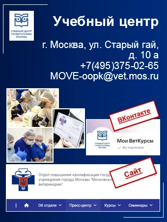 👀 Узнать о курсах и вебинарах учебного центра