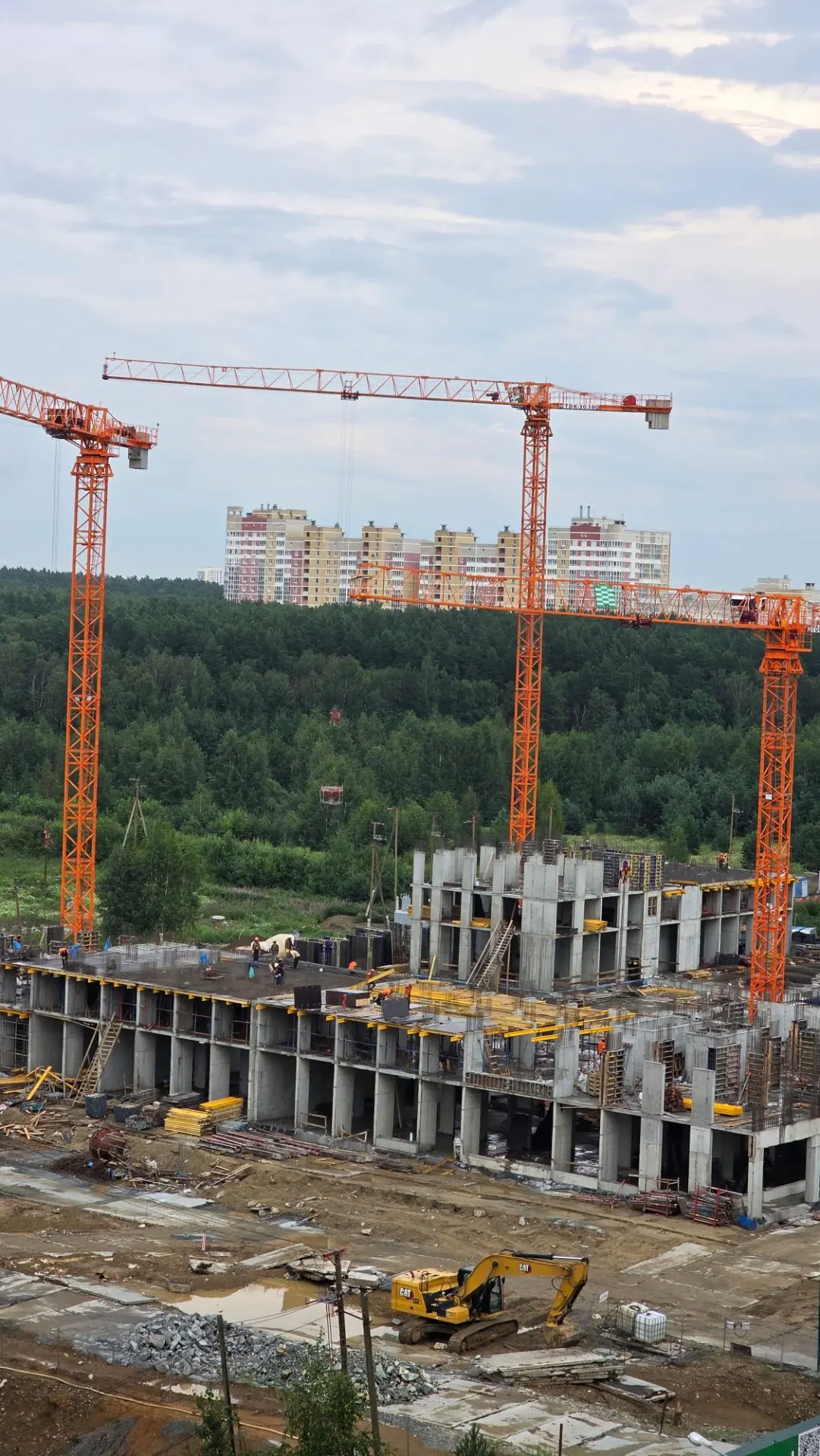 Раньше у нас был чудесный вид из окна на лес, сейчас идет стройка, до 4 утра спать не д...