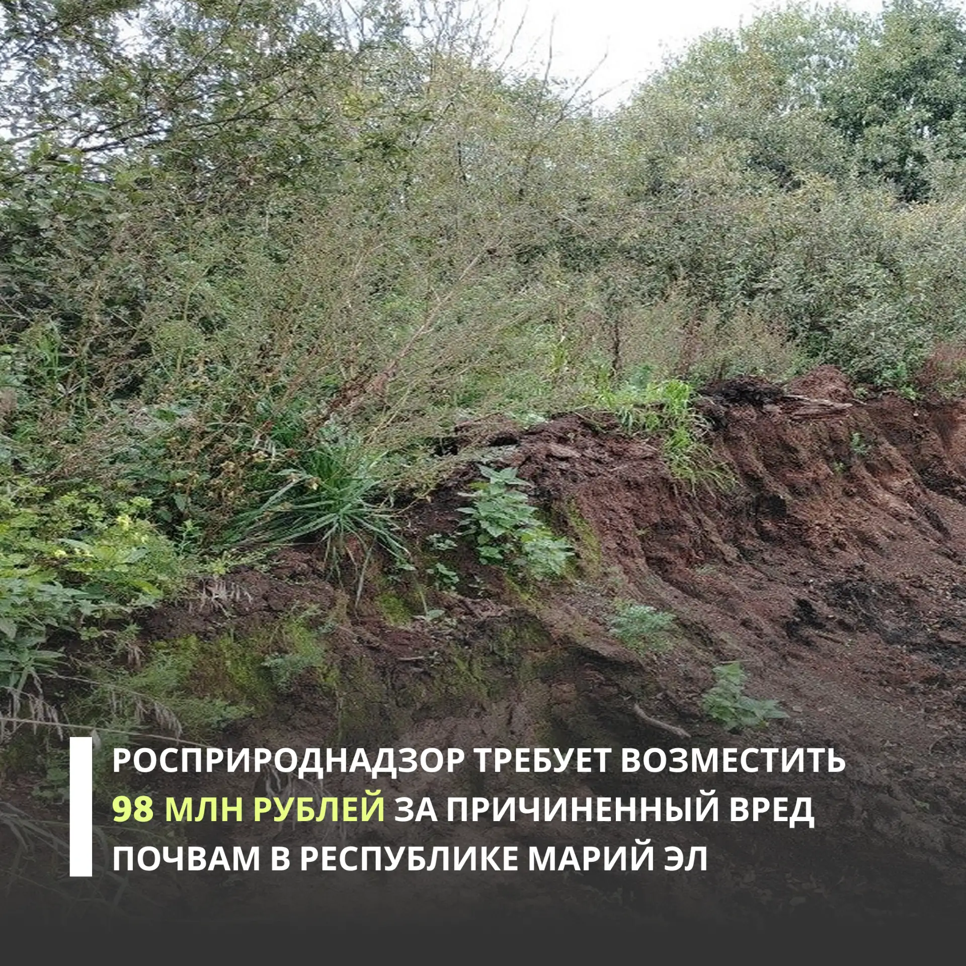 Росприроднадзор направил ООО «Стройхауз» требование о добровольном возмещении вреда, пр...