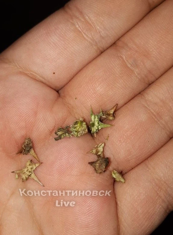 ШИНОМАНТАЖНЫЙ БУМ