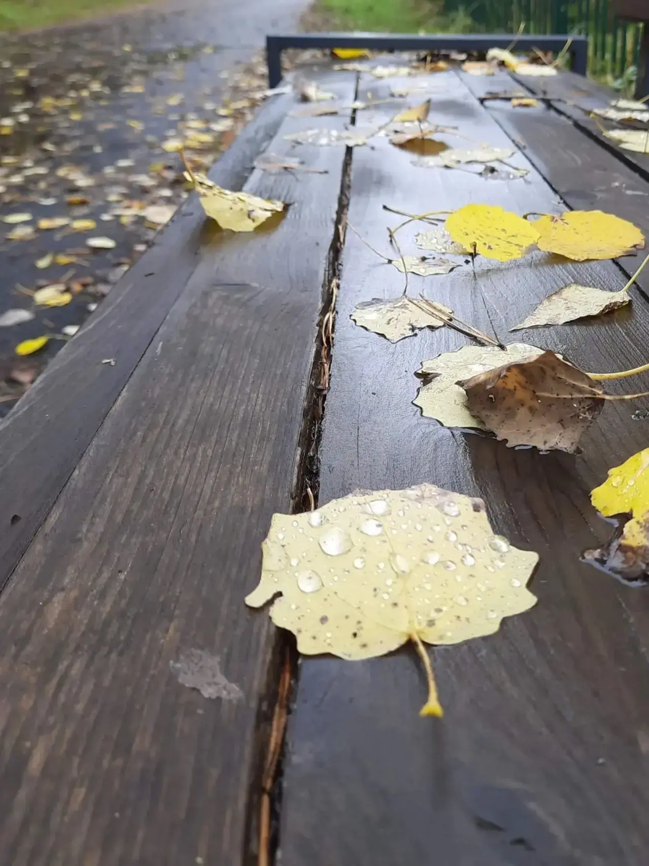 Доброе, пасмурное утро🍁