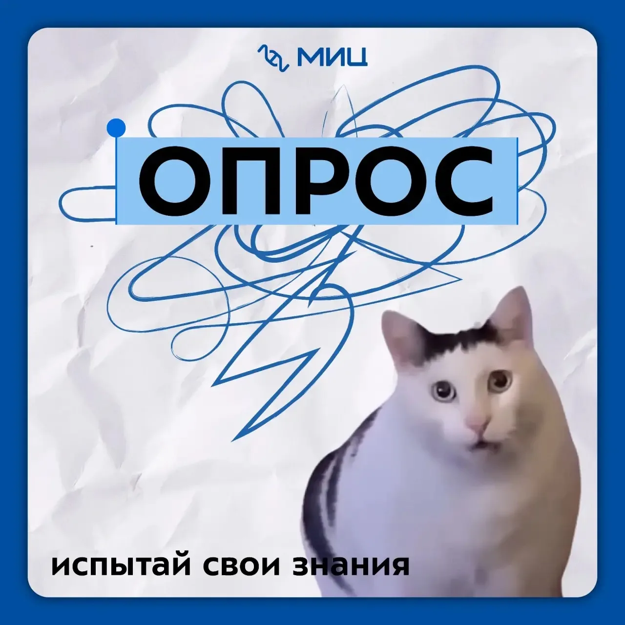 🧠 Правда или ложь?