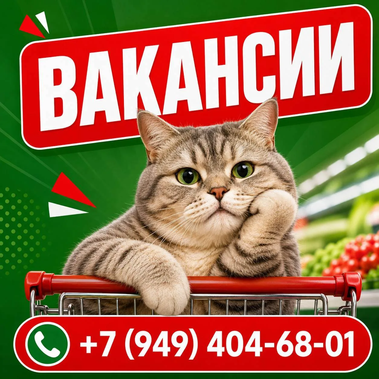 🟩 РАБОТА В МАКЕЕВКЕ ❗️❗️❗️