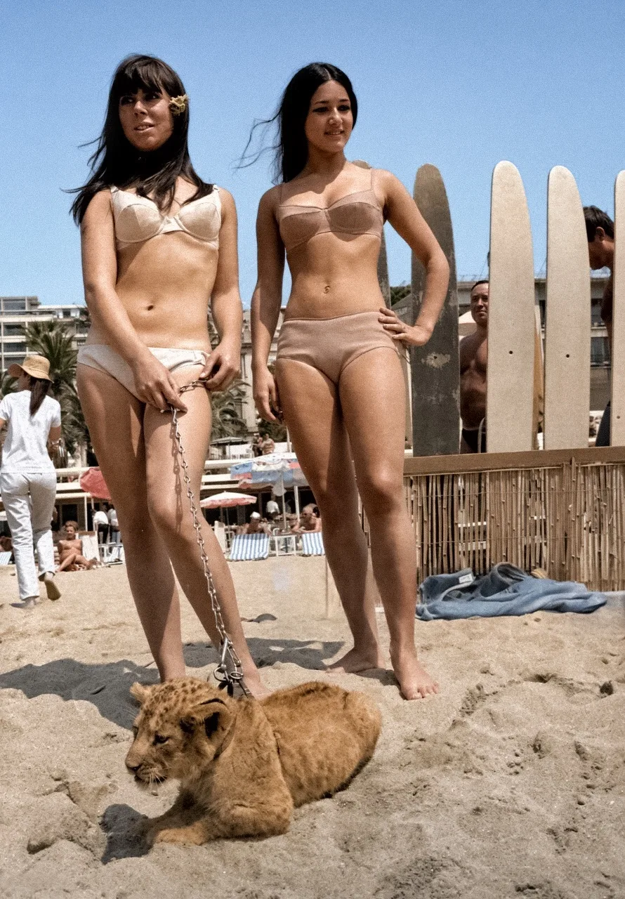 Звезды на Каннском фестивале, 1966 год.